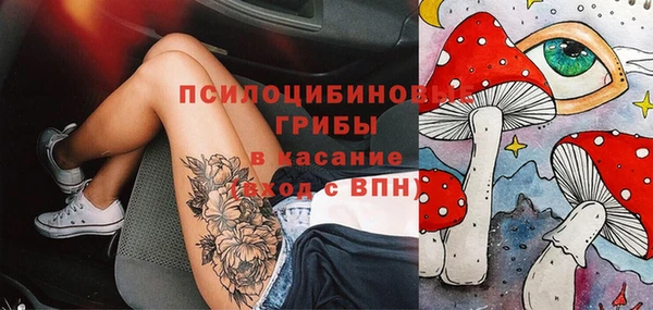 амф Кодинск