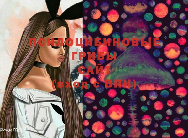 тгк Козловка