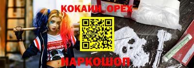 гидропоника Гусев