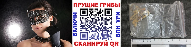 Псилоцибиновые грибы Psilocybine cubensis  купить наркотики цена  блэк спрут tor  Орск 
