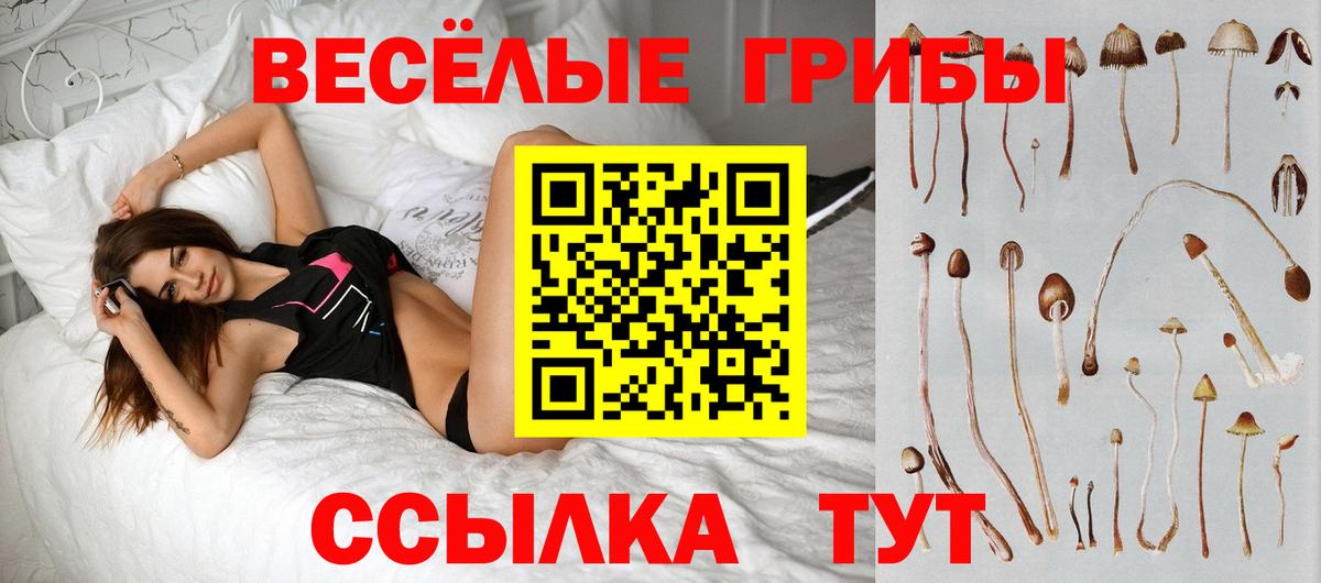 Галлюциногенные грибы прущие грибы  Орск  Псилоцибиновые грибы Psilocybine cubensis 